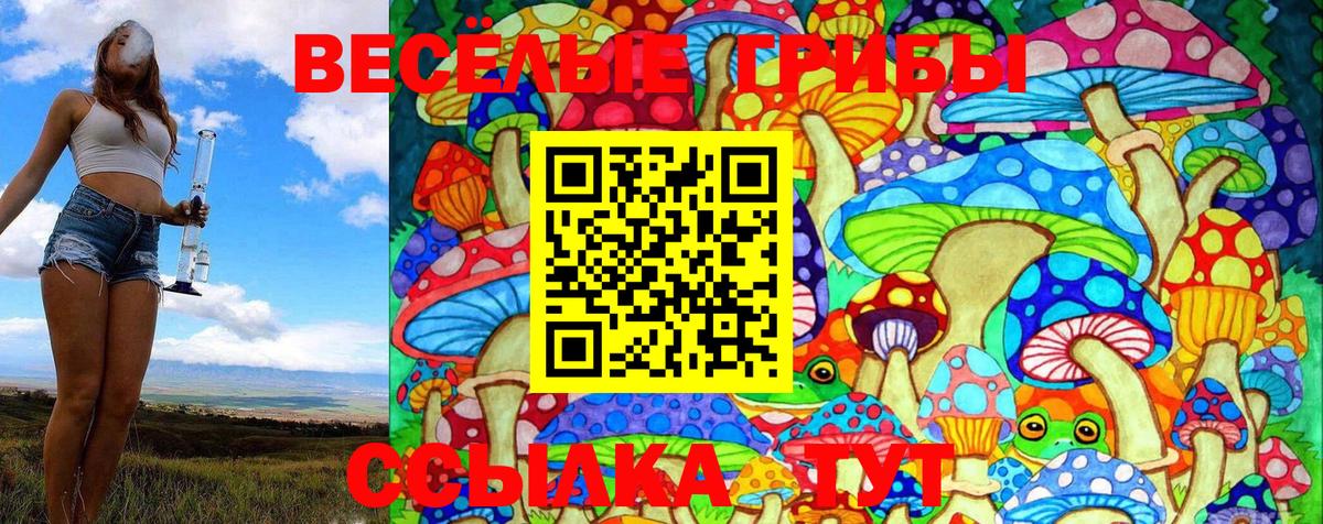 Галлюциногенные грибы Psilocybine cubensis  Псилоцибиновые грибы мухоморы  Шарыпово  Вход с VPN 